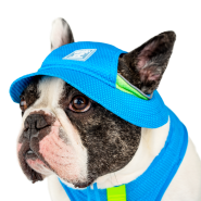 Canada Pooch Chill Seeker Cooling Hat Blue Size L