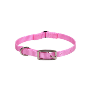 Cat Collars and Accessories