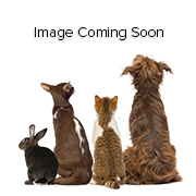 Tiki Cat Baby Whole Foods Mega Pack Variety Box 24/2.4oz